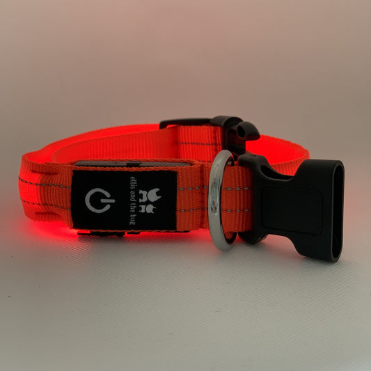 LED light up collar - red