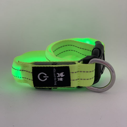 LED light up collar - yellow/green