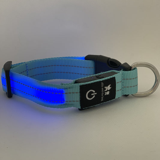 LED light up collar - blue