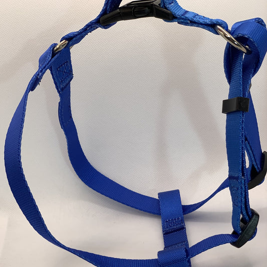 Harness - blue