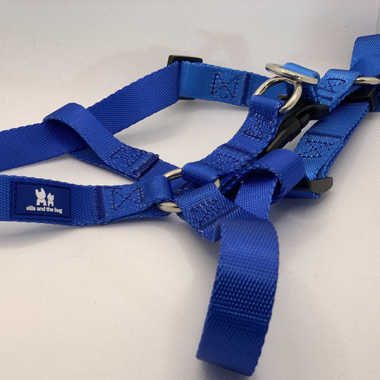 Harness - blue