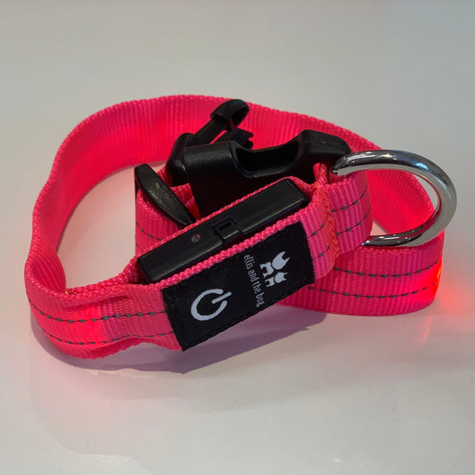 LED light up collar - pink