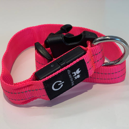 LED light up collar - pink