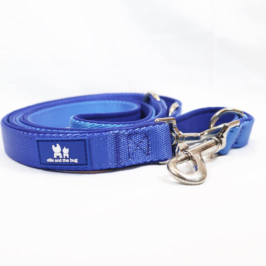 Multifunctional lead - blue