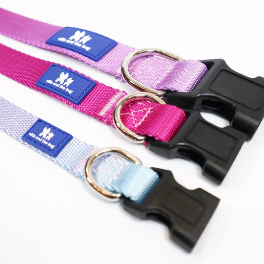 Dog collar - purple ombré (with blue and pink tones)