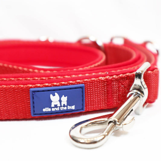 Multifunctional lead - red